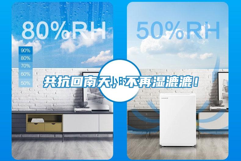 共抗回南天，不再濕漉漉！