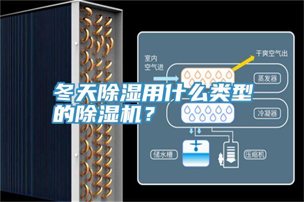 冬天除濕用什么類(lèi)型的除濕機(jī)？