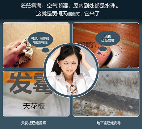 家庭別墅的地下室、衛(wèi)生間、儲物室等該如何除濕？