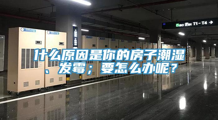 什么原因是你的房子潮濕、發霉；要怎么辦呢？