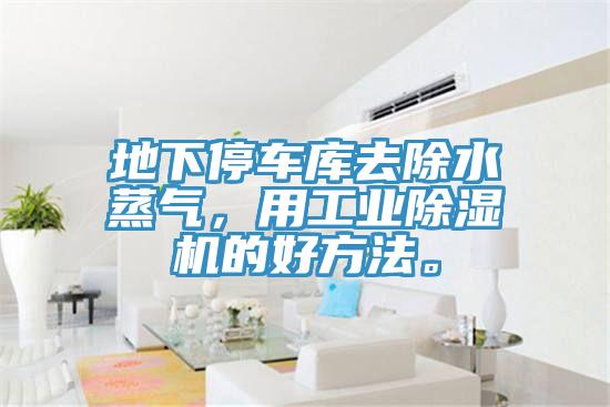 地下停車庫去除水蒸氣，用工業(yè)除濕機的好方法。