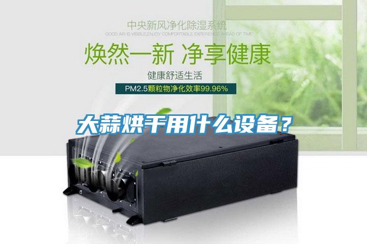 大蒜烘干用什么設(shè)備？