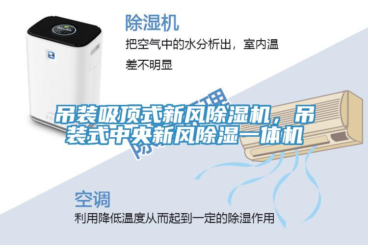 吊裝吸頂式新風(fēng)除濕機(jī)，吊裝式中央新風(fēng)除濕一體機(jī)