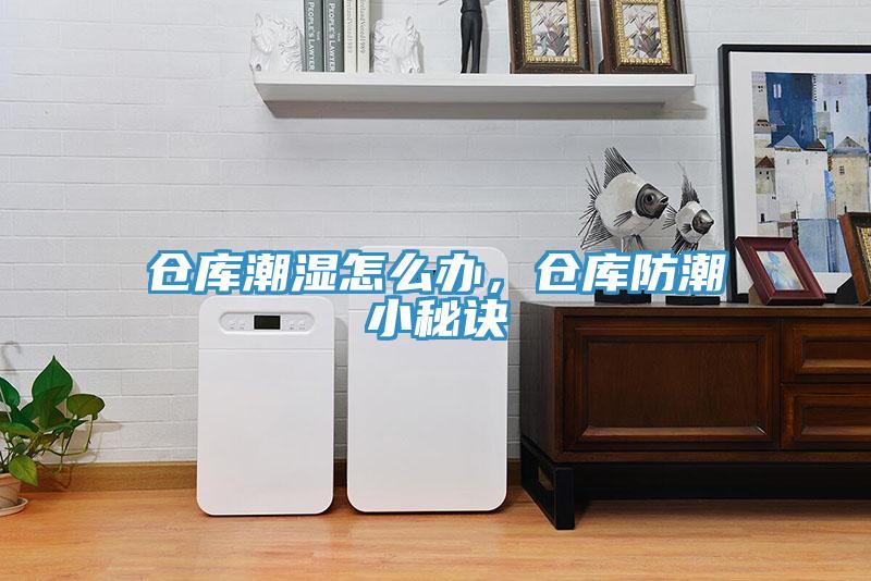 倉庫潮濕怎么辦，倉庫防潮小秘訣