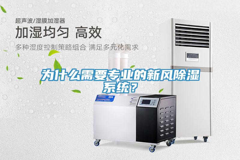為什么需要專業的新風除濕系統？
