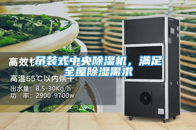 吊裝式中央除濕機(jī)，滿足全屋除濕需求