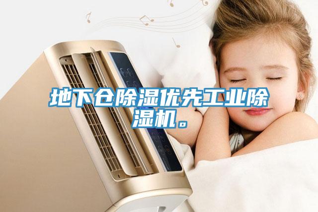 地下倉除濕優(yōu)先工業(yè)除濕機(jī)。