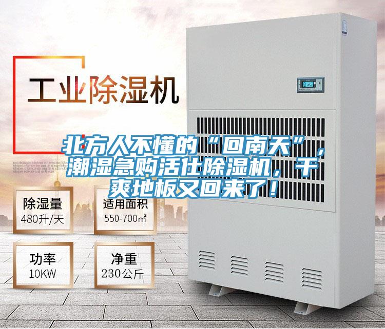 北方人不懂的“回南天”，潮濕急購活仕除濕機，干爽地板又回來了！