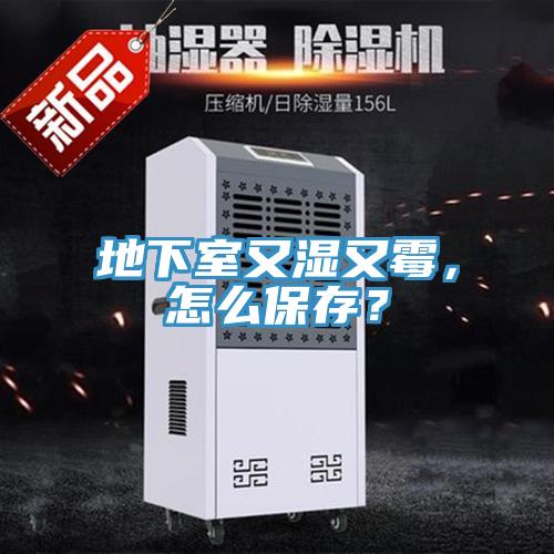 地下室又濕又霉，怎么保存？