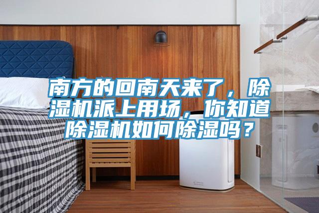 南方的回南天來了，除濕機派上用場，你知道除濕機如何除濕嗎？