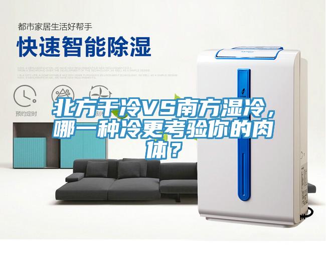北方干冷VS南方濕冷，哪一種冷更考驗你的肉體？