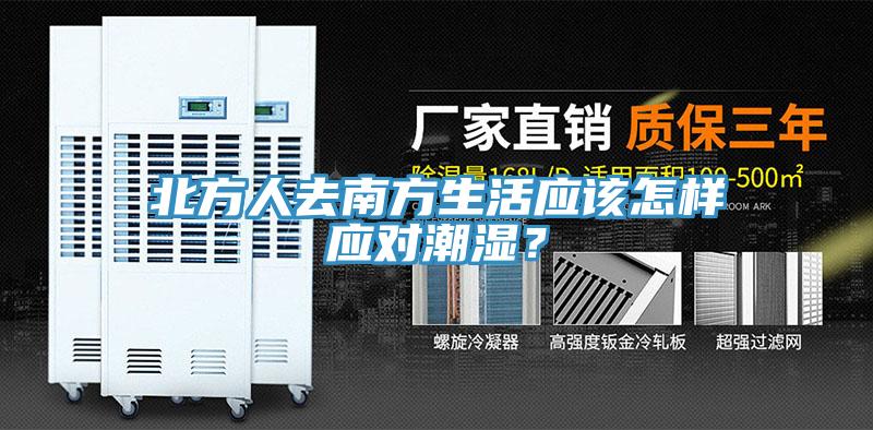 北方人去南方生活應該怎樣應對潮濕？