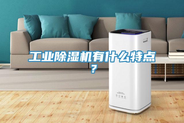 工業(yè)除濕機(jī)有什么特點(diǎn)？