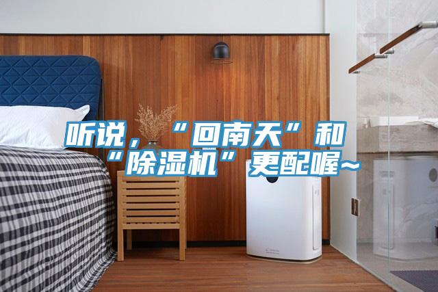 聽說，“回南天”和“除濕機”更配喔~