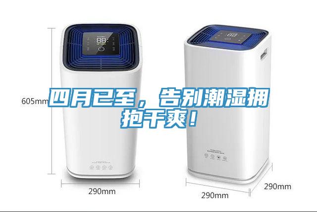 四月已至，告別潮濕擁抱干爽！