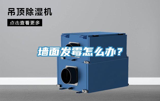 墻面發(fā)霉怎么辦？