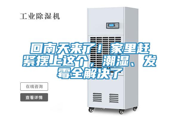 回南天來了！家里趕緊擺上這個，潮濕、發(fā)霉全解決了
