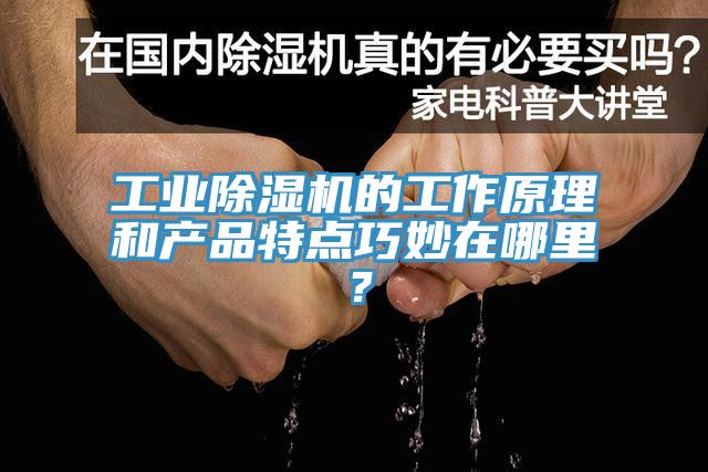 工業(yè)除濕機的工作原理和產(chǎn)品特點巧妙在哪里？