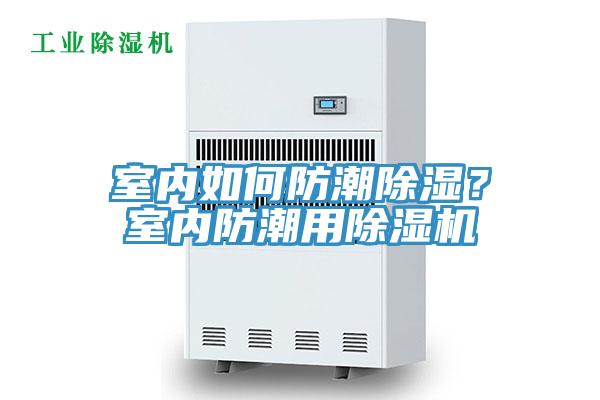 室內如何防潮除濕？室內防潮用除濕機