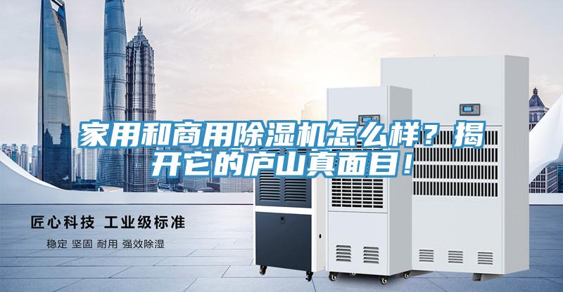 家用和商用除濕機怎么樣？揭開它的廬山真面目！
