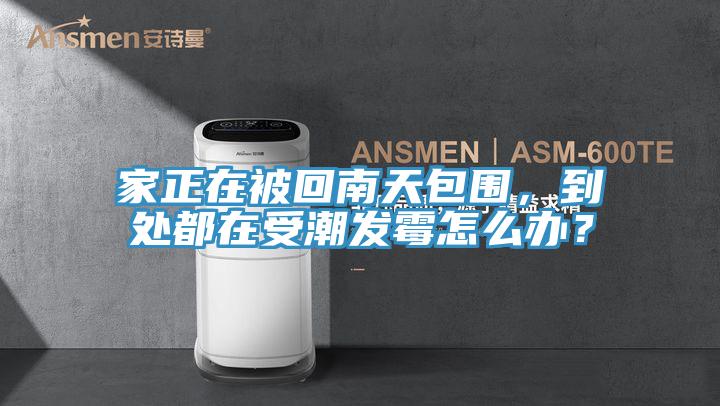 家正在被回南天包圍，到處都在受潮發(fā)霉怎么辦？
