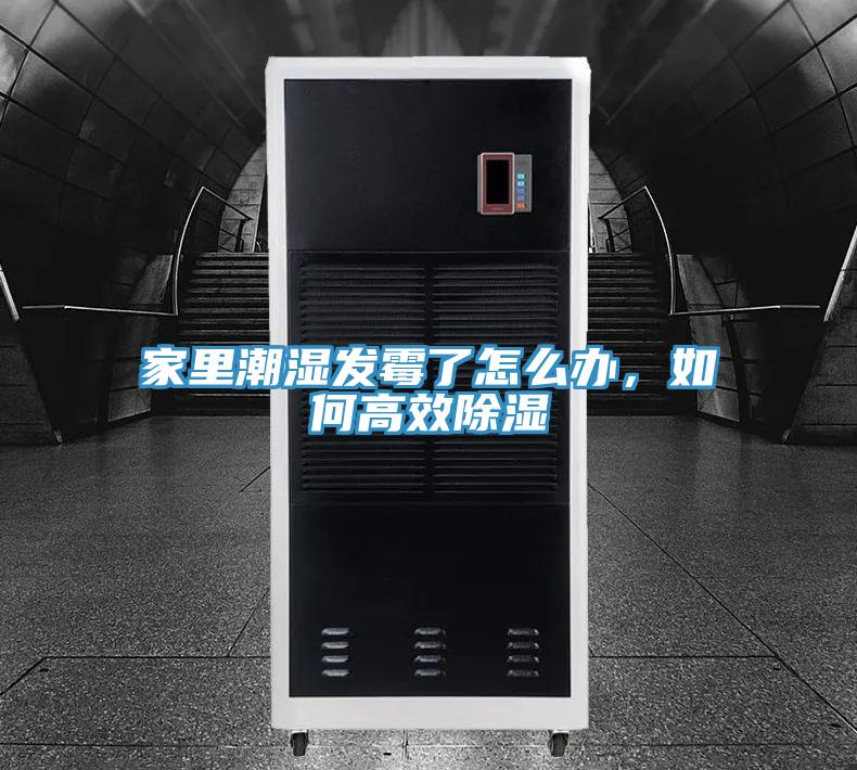 家里潮濕發霉了怎么辦，如何高效除濕