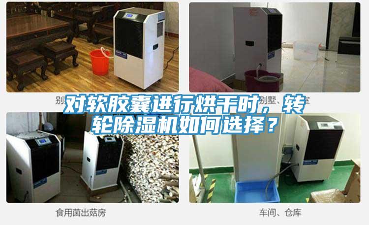 對軟膠囊進行烘干時，轉輪除濕機如何選擇？