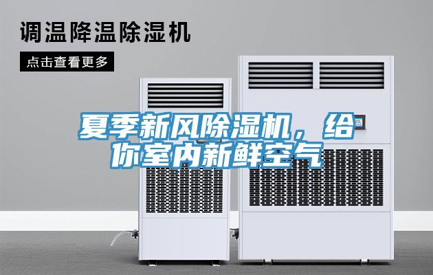 夏季新風除濕機，給你室內新鮮空氣