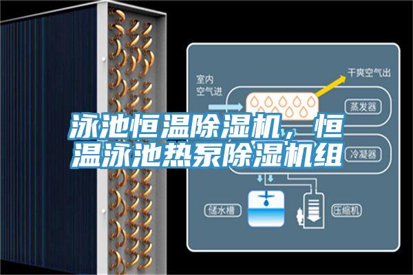 泳池恒溫除濕機(jī)，恒溫泳池?zé)岜贸凉駲C(jī)組