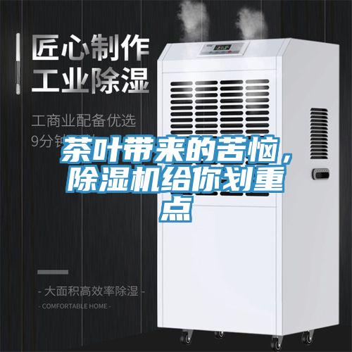 茶葉帶來的苦惱，除濕機給你劃重點