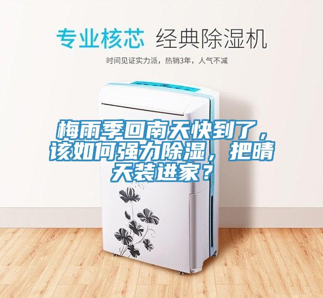 梅雨季回南天快到了，該如何強力除濕，把晴天裝進家？