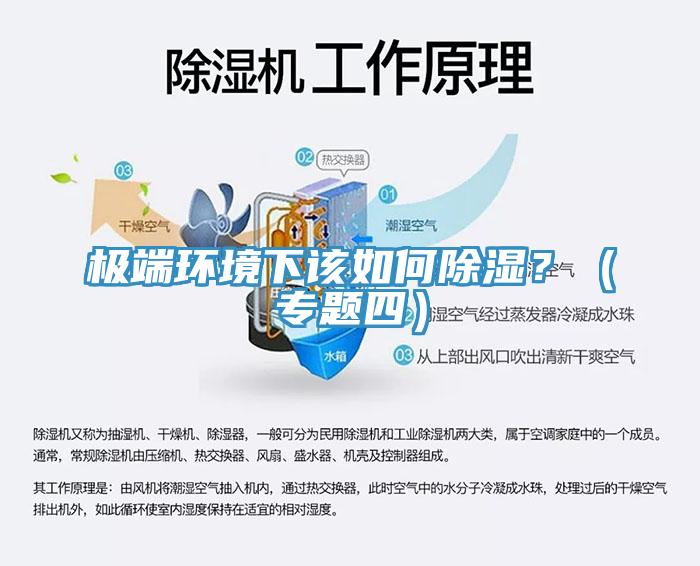 極端環(huán)境下該如何除濕？（專題四）