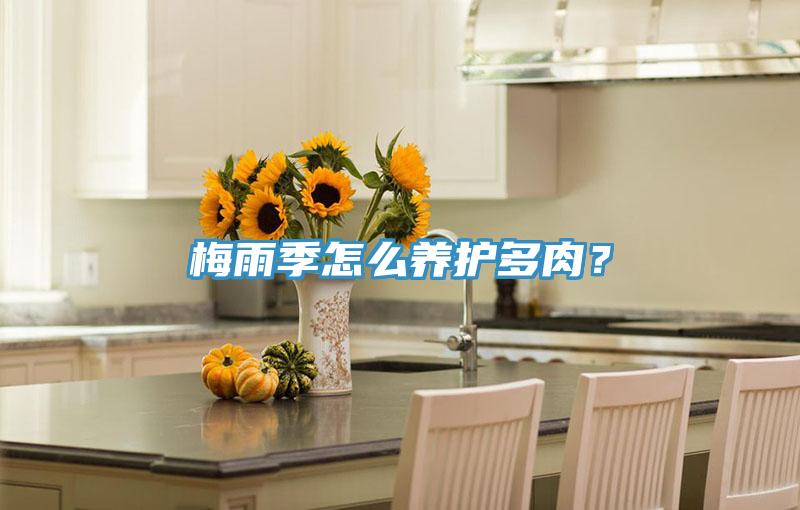 梅雨季怎么養(yǎng)護(hù)多肉？