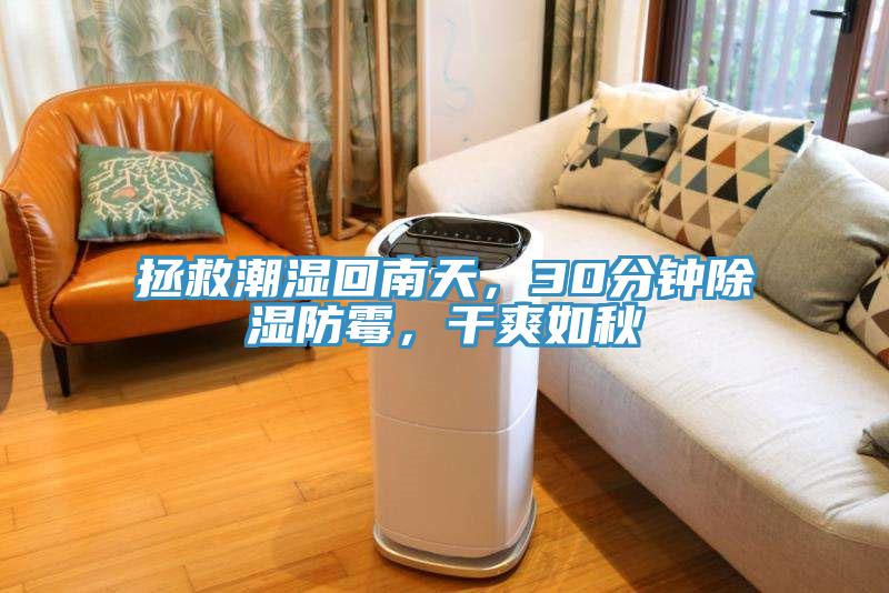 拯救潮濕回南天，30分鐘除濕防霉，干爽如秋