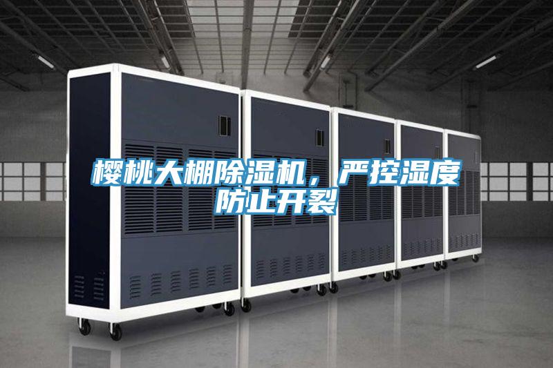 櫻桃大棚除濕機，嚴控濕度防止開裂