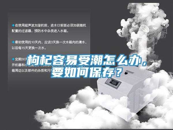 枸杞容易受潮怎么辦，要如何保存？