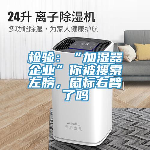 檢驗：“加濕器企業(yè)”你被搜索左膀，鼠標右臂了嗎
