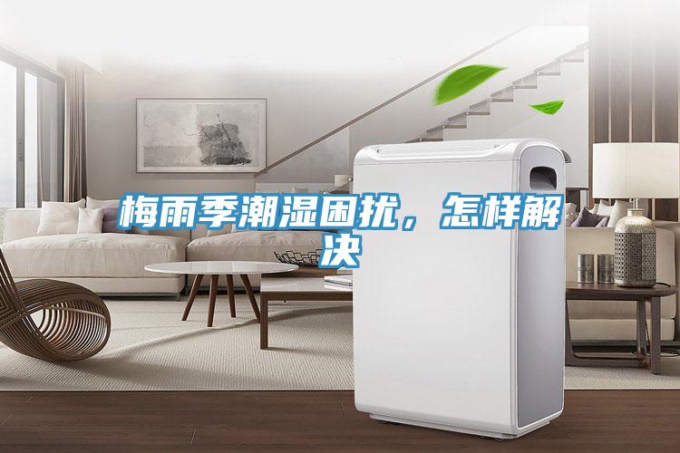 梅雨季潮濕困擾，怎樣解決
