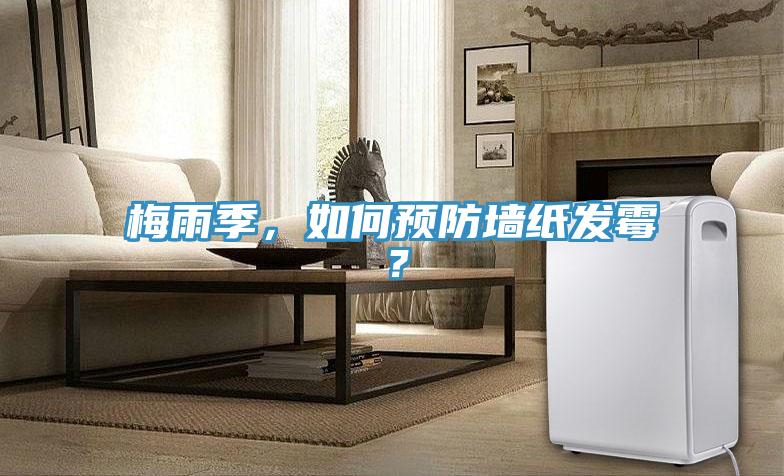 梅雨季，如何預防墻紙發霉？