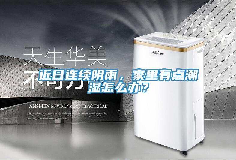 近日連續陰雨，家里有點潮濕怎么辦？