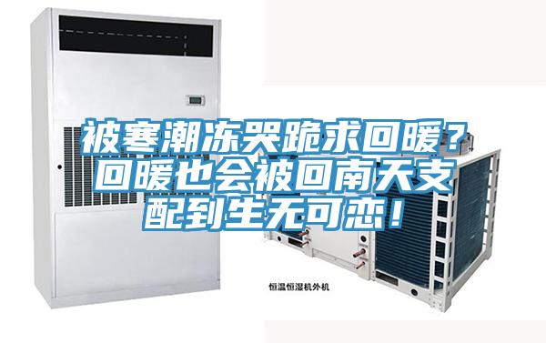 被寒潮凍哭跪求回暖？回暖也會被回南天支配到生無可戀！