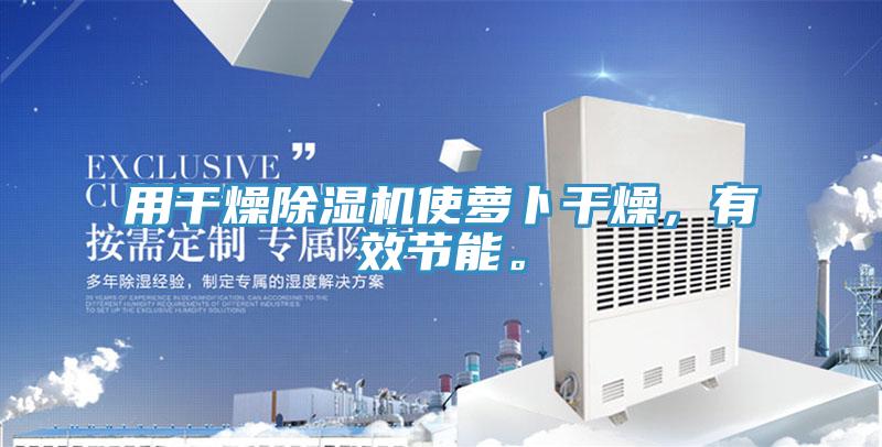 用干燥除濕機使蘿卜干燥，有效節能。