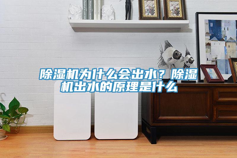 除濕機(jī)為什么會(huì)出水？除濕機(jī)出水的原理是什么