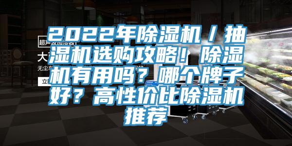 2022年除濕機／抽濕機選購攻略！除濕機有用嗎？哪個牌子好？高性價比除濕機推薦