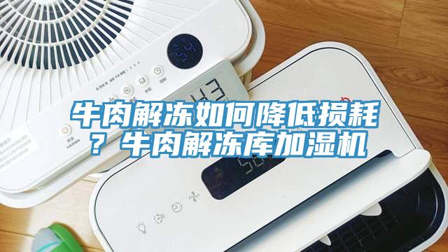 牛肉解凍如何降低損耗？牛肉解凍庫加濕機