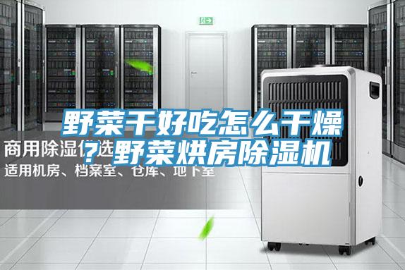 野菜干好吃怎么干燥？野菜烘房除濕機