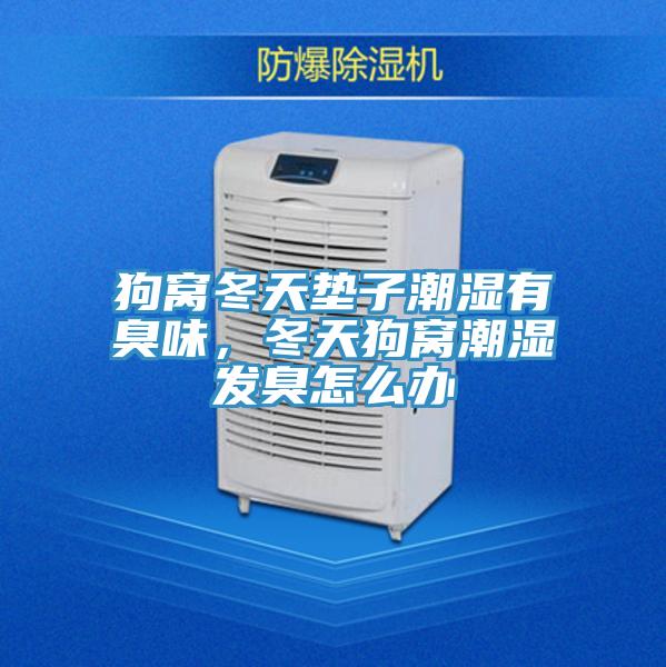 狗窩冬天墊子潮濕有臭味，冬天狗窩潮濕發臭怎么辦