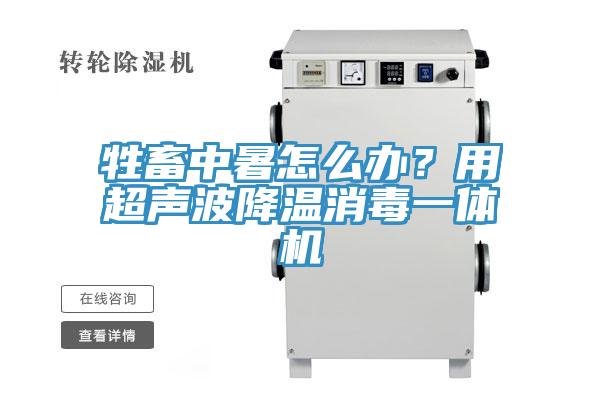 牲畜中暑怎么辦？用超聲波降溫消毒一體機