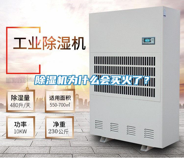 除濕機(jī)為什么會(huì)買火了？