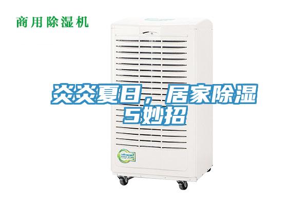 炎炎夏日，居家除濕5妙招